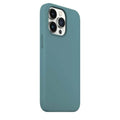 Cases & Covers for iPhone 13 Pro Max / Topical Teal