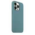 Cases & Covers for iPhone 13 / Topical Teal Apple iPhone 13 Liquid silicone Soft Phone Cover With inner microfiber